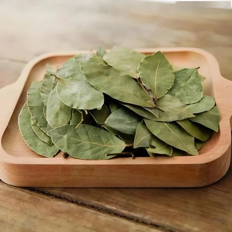 aae8329f-c4e9-44b4-90d7-ef61b7dec279