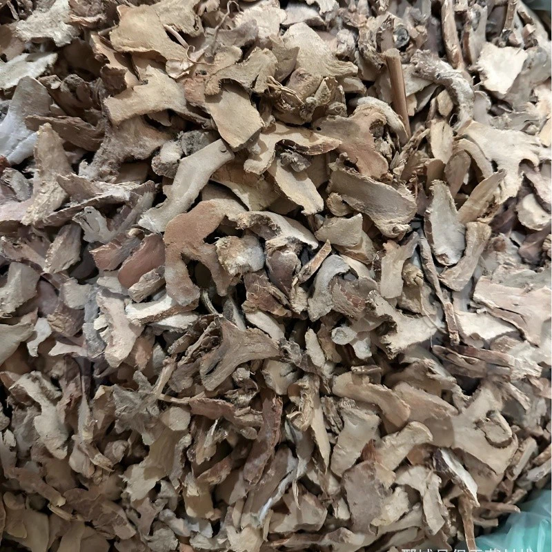 00f78cd1-0b9d-4870-9785-b7d71ab91dc1