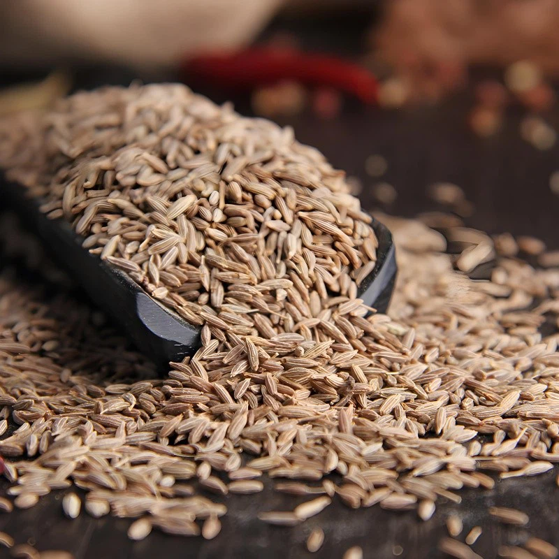 db67cb2d-e3e2-4a4b-8475-c0d430ac0bbd