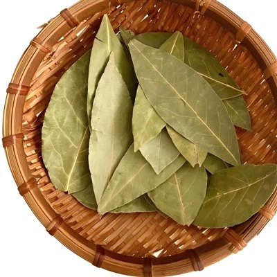 خشک لوریل پتے