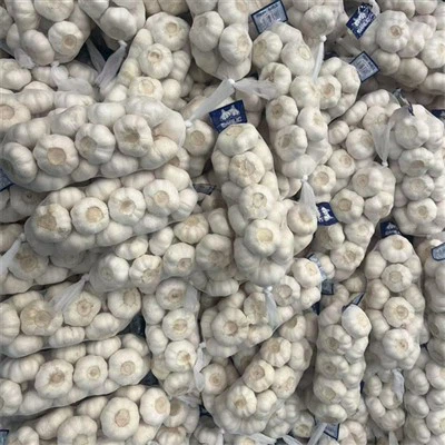 لہسن کے چاول کی جڑ کے ساتھ